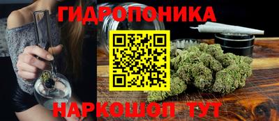 шишки Железногорск