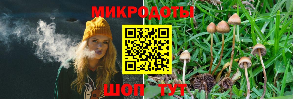 Псилоцибиновые грибы мухоморы Братск